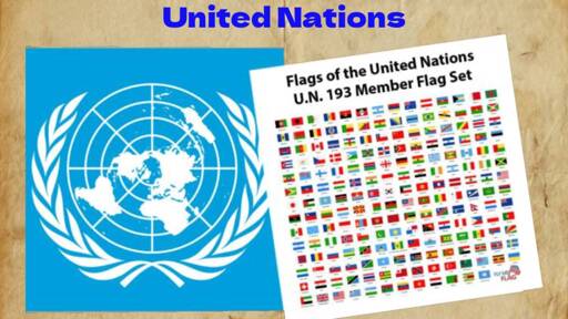 opinion, political, Kill them all order, International Law